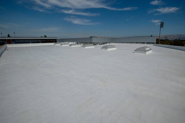 Best Roof Coating Services  in New Boston, OH